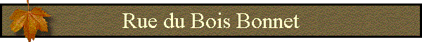 Rue du Bois Bonnet