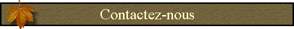 Contactez-nous
