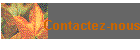 Contactez-nous